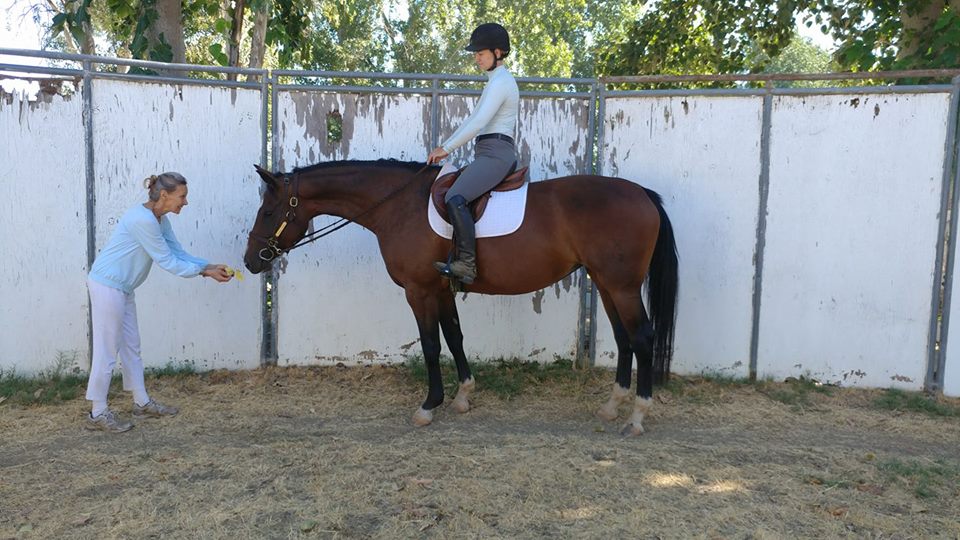 LadyPetulaRbyLandkonig