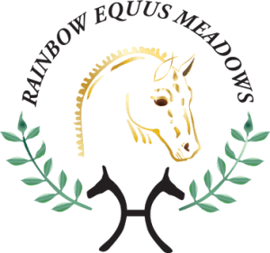 Rainbow Equus Meadows